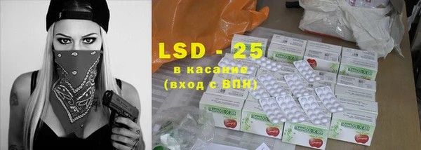 индика Аркадак