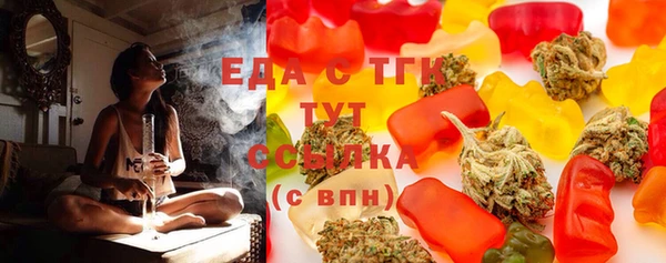 индика Аркадак