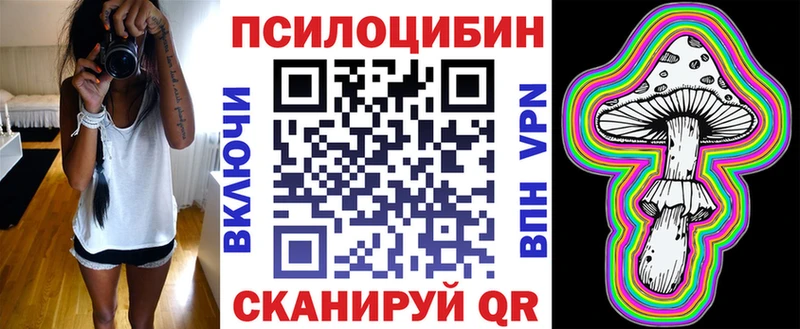 Псилоцибиновые грибы Psilocybine cubensis  Новодвинск 