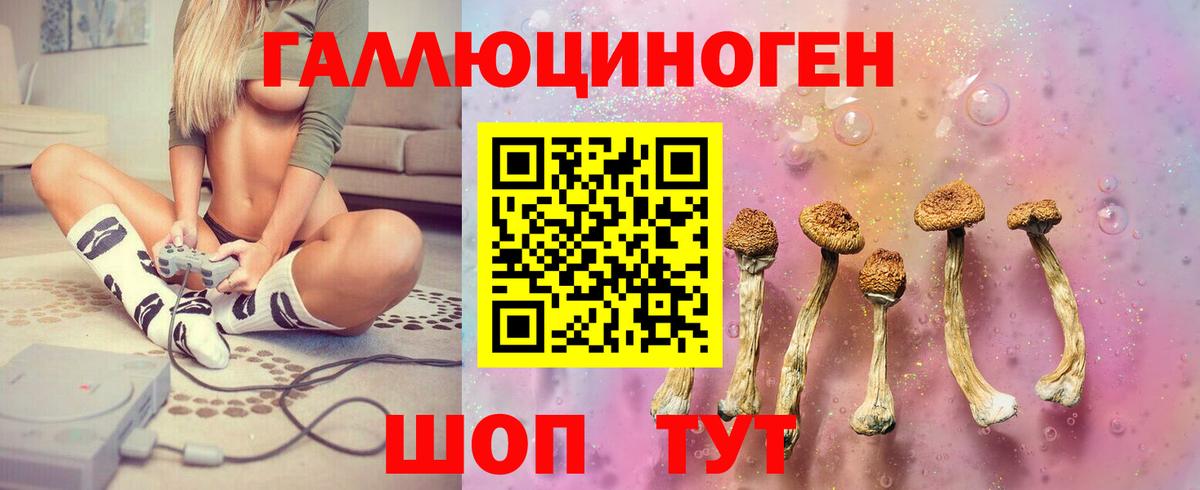 Новодвинск  где можно купить   Вход с VPN  Галлюциногенные грибы Psilocybe 